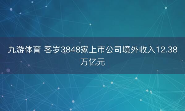九游体育 客岁3848家上市公司境外收入12.38万亿元