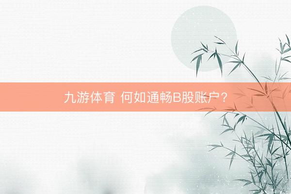 九游体育 何如通畅B股账户?
