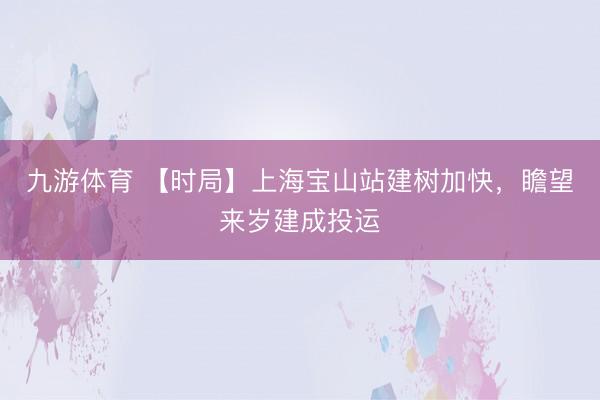 九游体育 【时局】上海宝山站建树加快，瞻望来岁建成投运