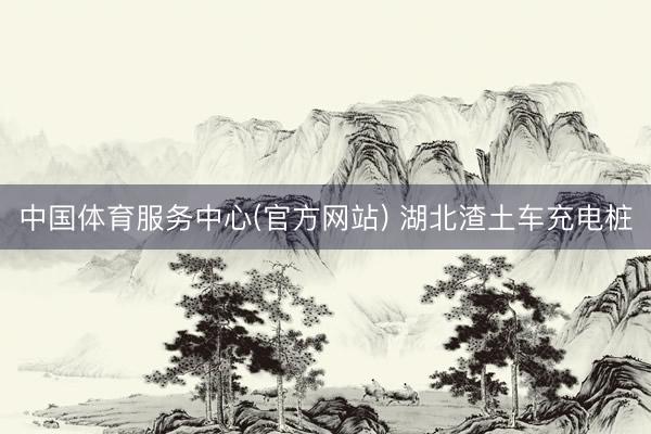 中国体育服务中心(官方网站) 湖北渣土车充电桩
