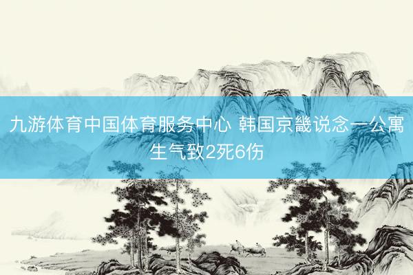 九游体育中国体育服务中心 韩国京畿说念一公寓生气致2死6伤