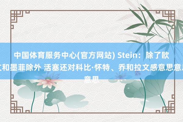中国体育服务中心(官方网站) Stein：除了欧文和墨菲除外 活塞还对科比·怀特、乔和拉文感意思意思